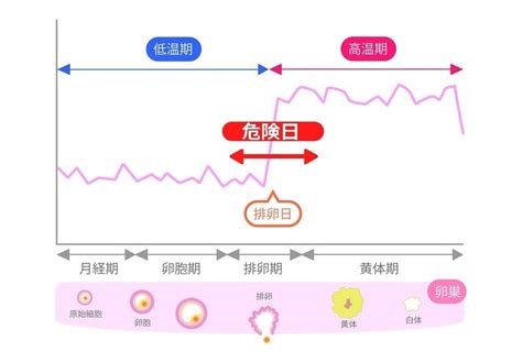 妊娠危険日計算|安全日と危険日いつ？計算カレンダーツールで妊娠予。